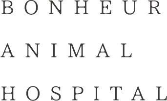 BONHEUR ANIMAL HOSPITAL