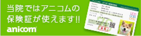 アニコム