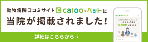 アニコム